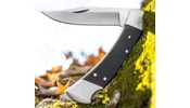 Buck 110 Folding Hunter Pro zsebkés