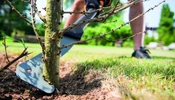Fiskars WoodXpert gallyazókés XA23