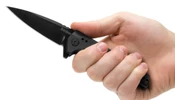 Kershaw Fatback zsebkés