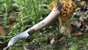 Opinel Mushroom No.08 gombász zsebkés Tölgyfa + bőr tok díszdoboz