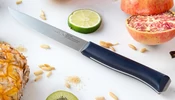 Opinel Intempora No.225 Zöldségkés 8 cm-es